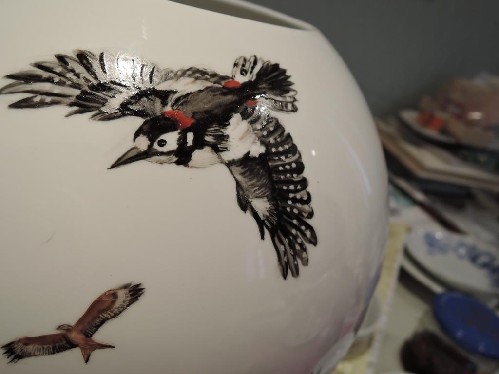 Faehrhaus Meissen B&B 외부 사진
