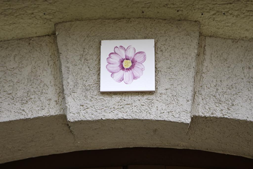 Faehrhaus Meissen B&B 객실 사진
